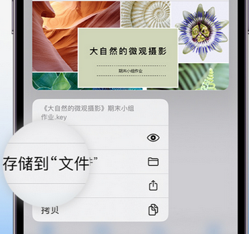 旺苍apple维修中心分享iPhone文件应用中存储和找到下载文件