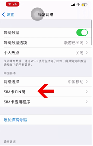 旺苍苹果14维修网分享如何给iPhone14的SIM卡设置密码 