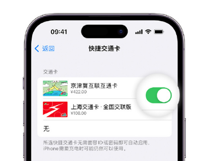 旺苍apple维修点分享iPhone上更换Apple Pay快捷交通卡手绘卡面 