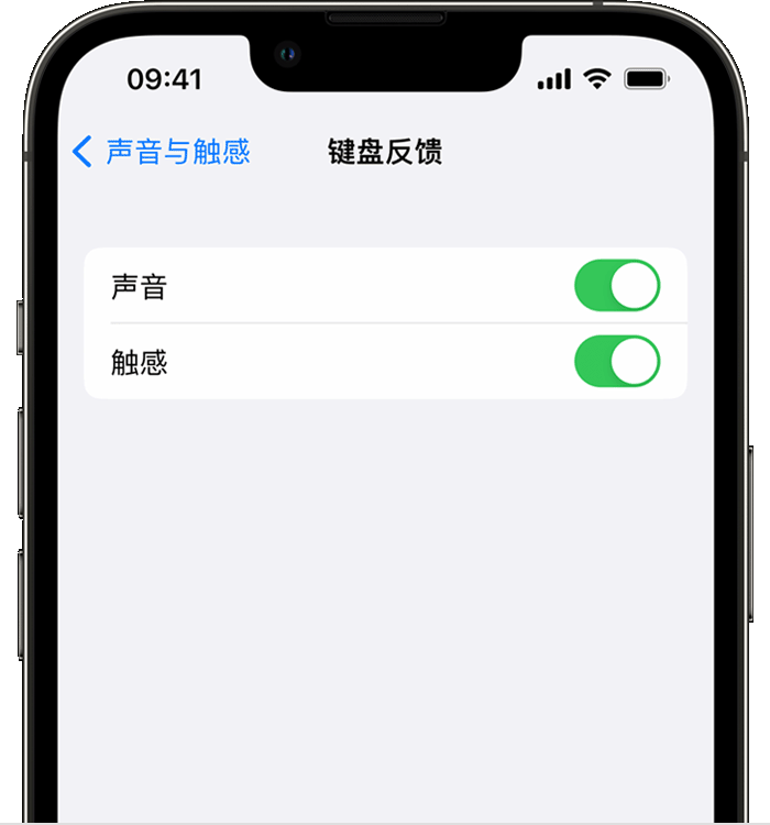 旺苍苹果14维修店分享如何在 iPhone 14 机型中使用触感键盘 