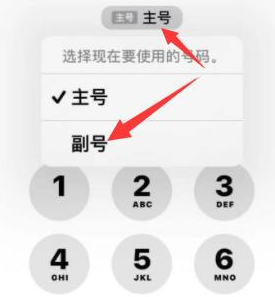 旺苍苹果14维修店分享iPhone 14 Pro Max使用副卡打电话的方法 