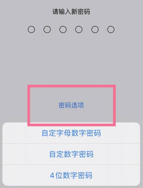 旺苍苹果14维修分享iPhone 14plus设置密码的方法 