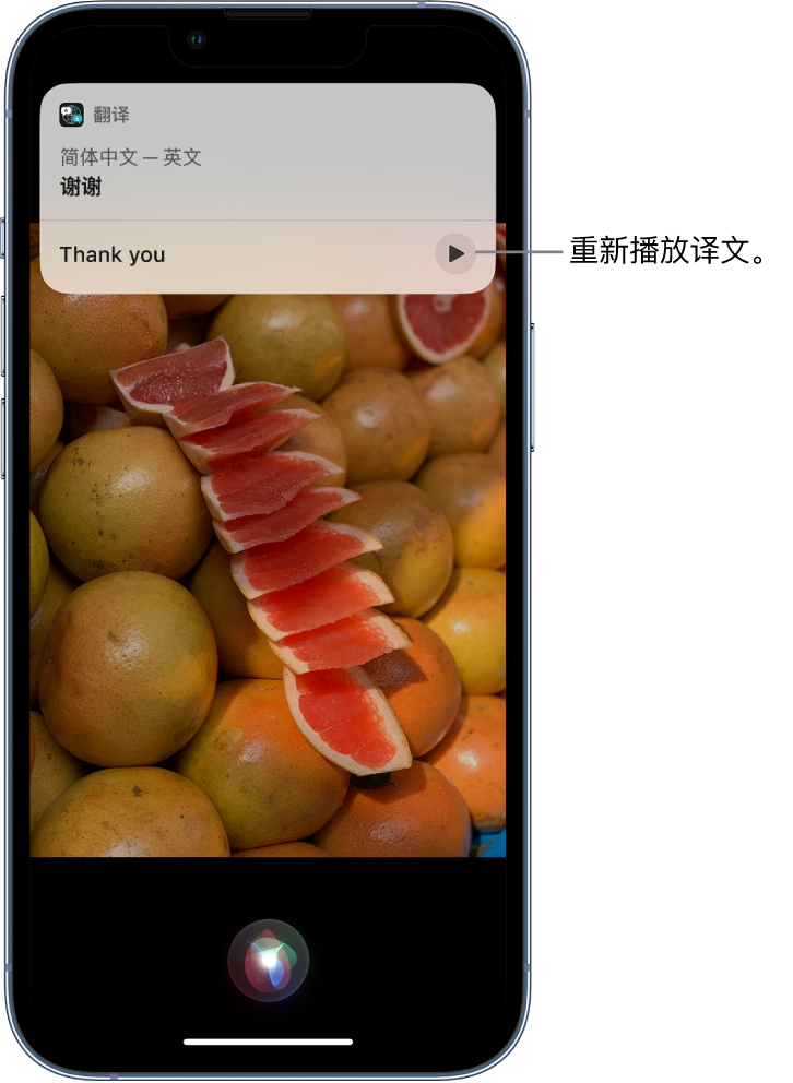 旺苍苹果14维修分享 iPhone 14 机型中使用 Siri：了解 Siri 能帮你做什么 