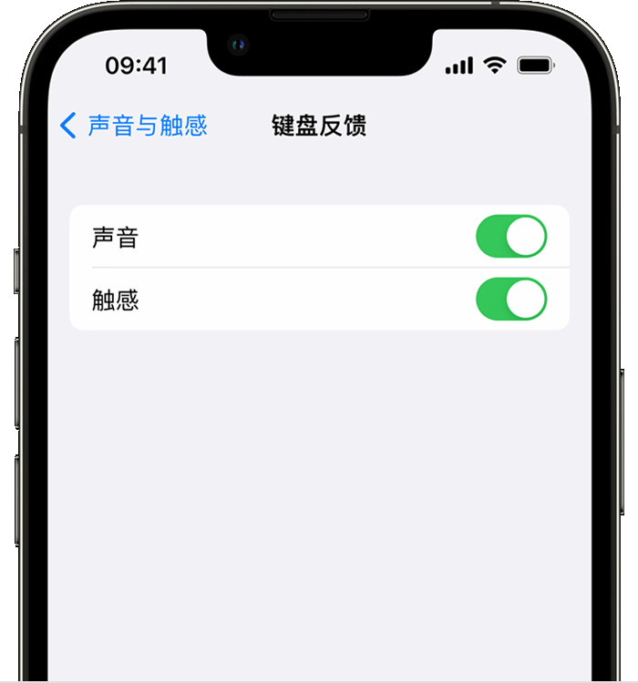 旺苍苹果14维修分享iPhone 14 系列机型如何开启键盘声音或触感反馈 