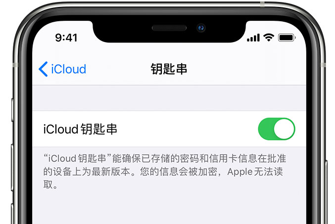 旺苍苹果手机维修分享在 iPhone 上开启 iCloud 钥匙串之后会储存哪些信息 