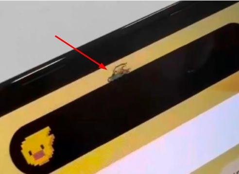 旺苍苹果14维修分享iPhone 14 Pro Max灵动岛怎么养宠物 
