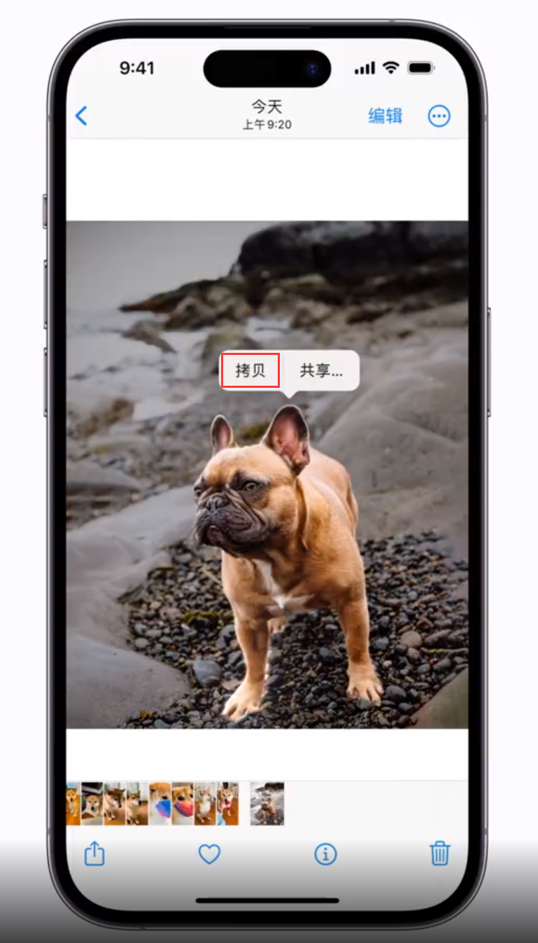 旺苍苹果手机维修分享 iOS 16 自带一键抠图功能 