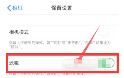 旺苍苹果13维修分享iPhone13拍照有绿点是怎么回事 