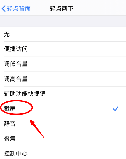 旺苍苹果手机维修分享iPhone12如何启用双击截屏 