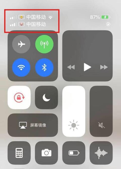 旺苍苹果手机维修分享为 iPhone 12 双卡设置标签 
