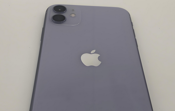 旺苍苹果11系统维修分享iPhone11手机系统崩溃无法开机如何解决 